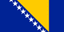 Bosnian flag