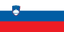 Slovenian flag