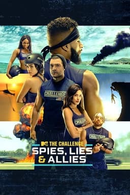 Spies, Lies and Allies poster
