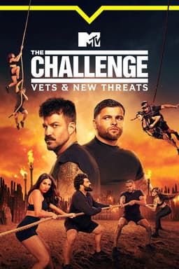 Vets and New Threats poster