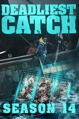 Season 14 poster