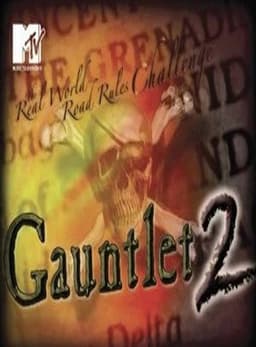 The Gauntlet II poster
