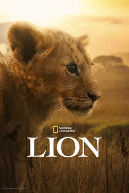 Miniseries poster