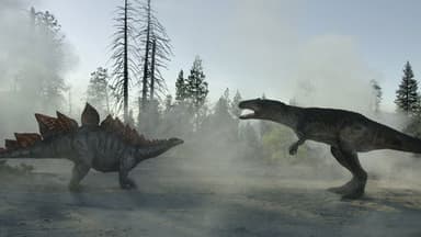 Conquest still