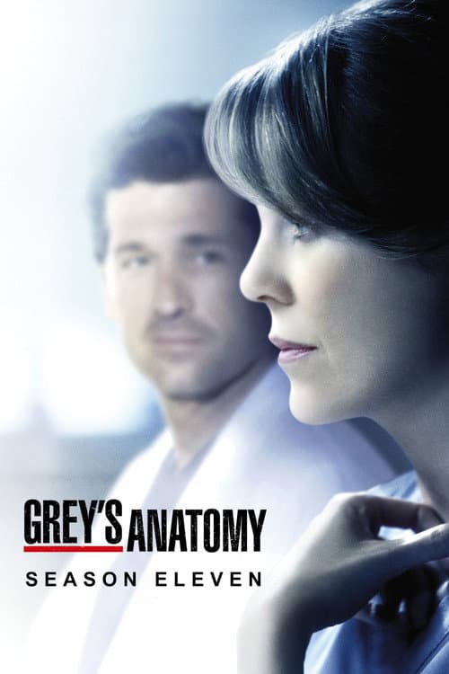 Season 11 poster