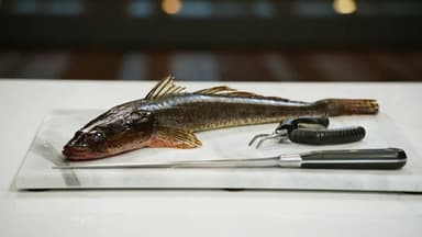 Skills Challenge: Fish Butchery still