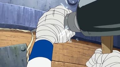 Capture Robin! The Determination of the Straw Hats! still
