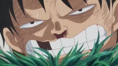 I'll Wait Here! Luffy vs. the Enraged Army! still