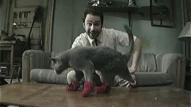 Paddy's Pub: Home of the Original Kitten Mittens still