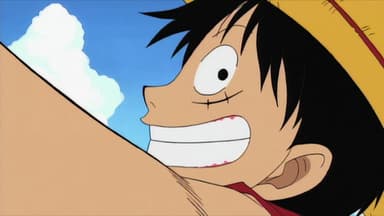 I'm Luffy! The Man Who Will Become the Pirate King! still