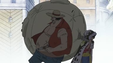 The Beginning of The New Chapter! The Straw Hats Reunited! still