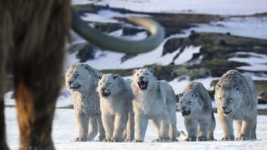Chapter 8: Age of Ice and Fire still