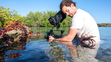 The Making of The Americas still