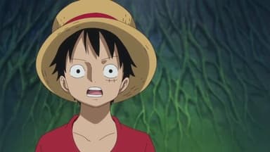 A Vow Between Two Men - Luffy and Kozuki Momonosuke still