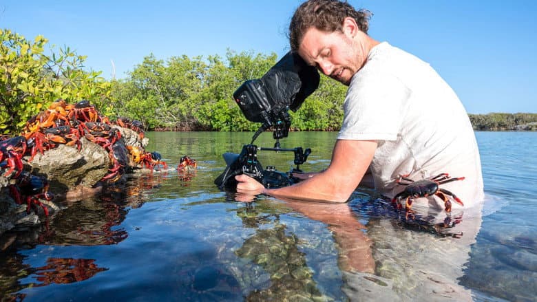 The Making of The Americas still