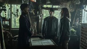 Found/Lost image