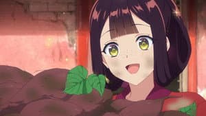Watakushi no, Hôkiboshi image