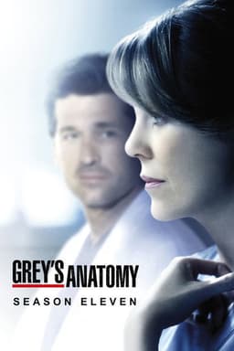 Season 11 poster