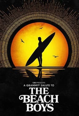 A Grammy Salute to The Beach Boys poster