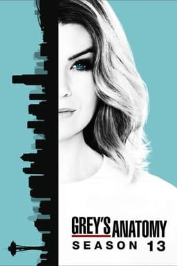 Season 13 poster