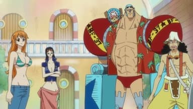 Big Guns Assembled! The Danger of the Fake Straw Hats! still