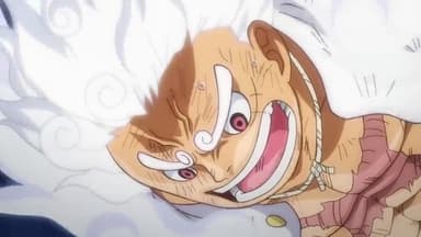 The World That Luffy Wants! still