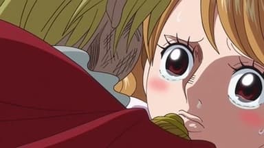 The End of the Adventure! Sanji's Resolute Proposal! still