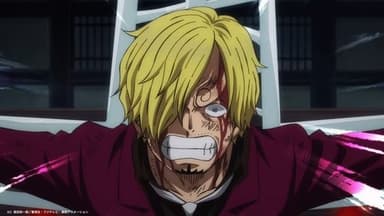Sanji’s Scream! An SOS Echoes Over the Island! still