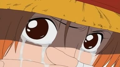 Luffy Rises! Result of the Broken Promise! still