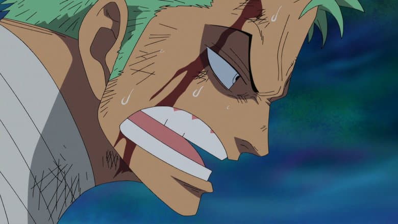 Encounter! The Great Swordsman Mihawk! Zoro's Self-Willed Deadly Struggle! still